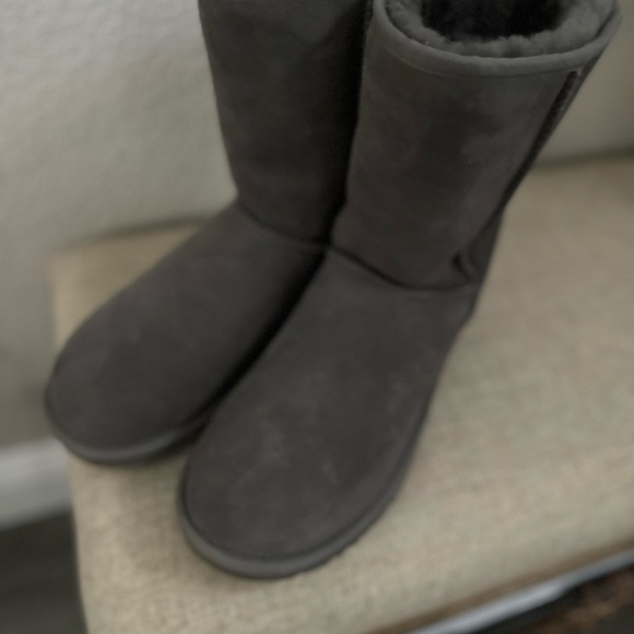 Grey Classic Short Suggs - Picture 11 of 11